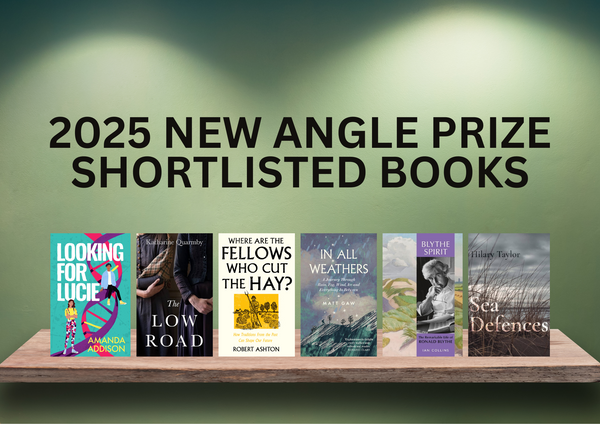 Sea Defences shortlisted for New Angle Prize