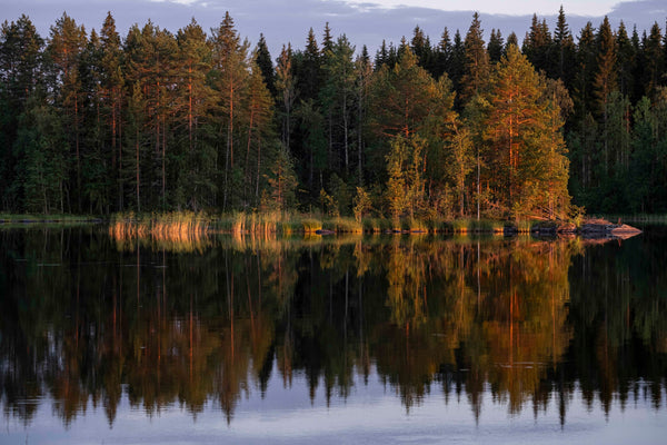 Eye acquires expat memoir of life in ‘the world’s happiest country’